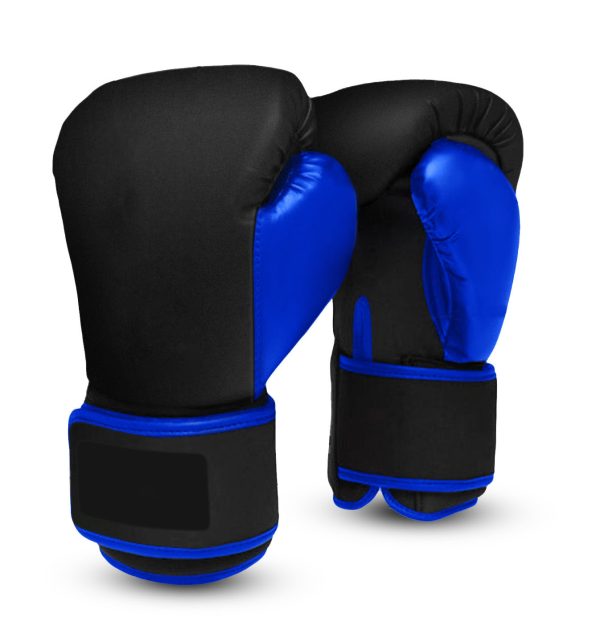 TS-Boxing Gloves-102